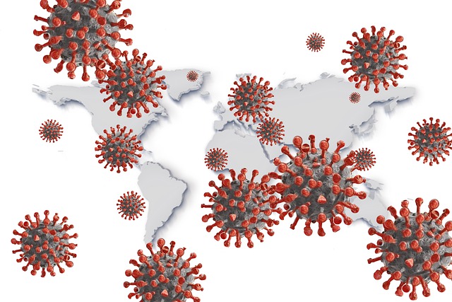 svět a koronaviry